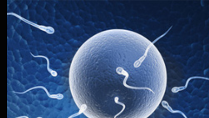 Hypnose rennes fertilite